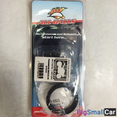 Сальники ALL BALLS 55-114 43x53x9.5